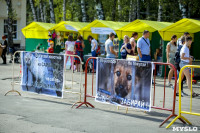 В Центральном парке Тулы проходит фестиваль помощи животным, Фото: 31