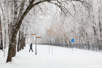 Платоновский парк в инее, Фото: 36