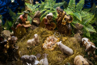 Рождественское богослужение в Успенском соборе (2020), Фото: 132