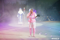 «Чудеса Новогодней Ёлки» ждут вас в Тульском цирке, Фото: 12