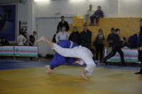 В Туле прошел юношеский турнир по дзюдо, Фото: 31