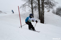 Второй этап чемпионата и первенства Тульской области по горнолыжному спорту., Фото: 7