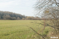 посадка леса в Одоевском лесничестве, Фото: 4