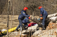 В Туле провели тренировку по тушению ландшафтного пожара, Фото: 62