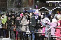 Открытие главной ёлки на площади Ленина, Фото: 86