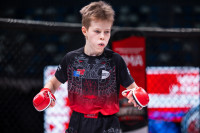 В «Тула-Арене» состоялись областные соревнования по ММА, Фото: 104