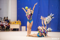 Соревнования по художественной гимнастике на призы благотворительного фонда «Земляки», Фото: 50