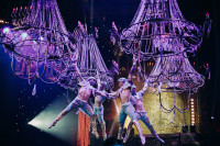 Новое грандиозное шоу Гии Эрадзе «Королевский цирк» стартует в Тульском цирке, Фото: 49