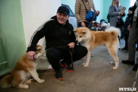 Выставка собак в Туле, Фото: 100