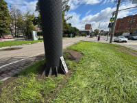 Туляки обнаружили десятки потерянных автономеров на улице Фрунзе, Фото: 2