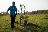 В Ясной Поляне посадили яблони, Фото: 35