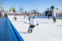 Турнир "Тульская шайба", Фото: 212