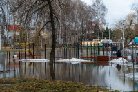 В Туле затопило Баташевский сад, Фото: 24