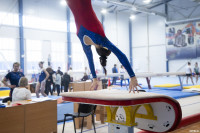 Всероссийские соревнования по спортивной гимнастике, Фото: 14