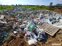 Свалка строительного мусора в Левобережном, Фото: 2