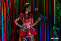 Цирковое шоу Жар птица, Фото: 156