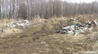 Поселок Славный в Тульской области зарастает мусором, Фото: 5