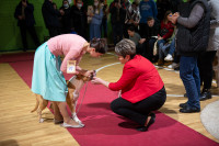 В Туле прошла выставка собак всех пород, Фото: 142