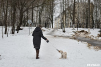 В Комсомольском парке прошёл рейд по выявлению собачников-нарушителей, Фото: 21