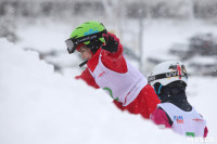 Соревнования по горнолыжному спорту в Малахово, Фото: 129