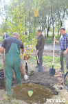 В Пролетарском районе высадили молодые деревья, Фото: 19