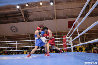Финал турнира по боксу "Гран-при Тулы", Фото: 86