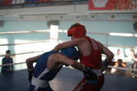 Первенство Тульской области по боксу, Фото: 17