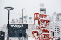 Снегопад в Туле 11 января, Фото: 13