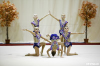 Соревнования по художественной гимнастике "Осенний вальс", Фото: 159