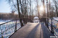 Морозное утро в Платоновском парке, Фото: 1
