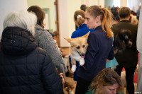 Выставка собак в ДК "Косогорец", Фото: 88