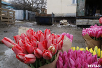 Продажа цветов возле помойки, Фото: 8