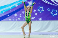 Тула провела крупный турнир по художественной гимнастике, Фото: 57