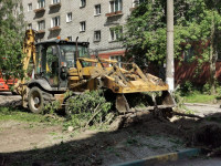 вырубка деревьев во дворе дома №33 по ул. Горького в Туле, Фото: 11