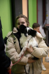 В Туле прошла выставка собак всех пород, Фото: 178
