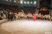 Шоу слонов в Тульском цирке, Фото: 37
