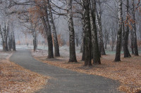 Тульский ноябрь, Фото: 17