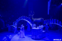Премьера шоу Королевский цирк, Фото: 21