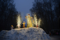 В ЦПКиО сожгли чучело зимы, Фото: 37