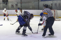 Команда ЕВРАЗ обыграла соперников в отборочном матче Тульской любительской хоккейной Лиги, Фото: 24