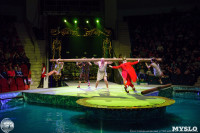Цирк на воде «Остров сокровищ» в Туле: Здесь невозможное становится возможным, Фото: 76