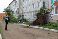 Последствия урагана в Ефремове., Фото: 48