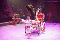 Шоу Гии Эрадзе «5 континентов» в Тульском цирке: феерия уже началась!, Фото: 41