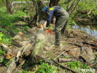 В Туле ведется расчистка Щегловского ручья от мусора, Фото: 10
