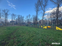 В сквере на улице Приупской вырубают тополя: в администрации рассказали, зачем, Фото: 7