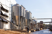 Тульская птицефабрика: забота о качестве начинается с заботы о сотрудниках, Фото: 18