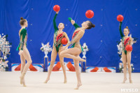 Соревнования по художественной гимнастике на призы благотворительного фонда «Земляки», Фото: 149
