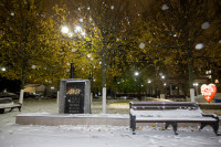 Первый снег в Туле, Фото: 34