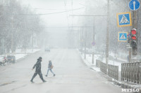 Мартовский снег в Туле, Фото: 45