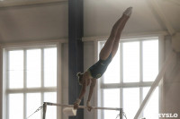 Первенство ЦФО по спортивной гимнастике среди  юниоров, Фото: 8